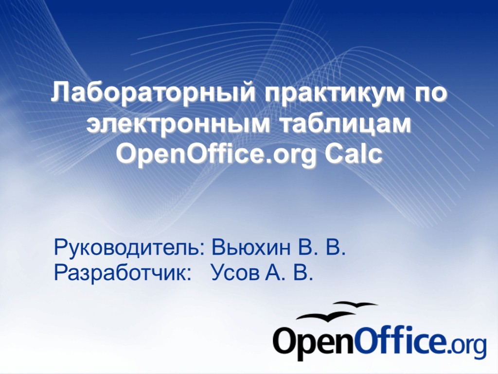 Лабораторный практикум по электронным таблицам OpenOffice.org Calc Руководитель: Вьюхин В. В. Разработчик: Усов А.